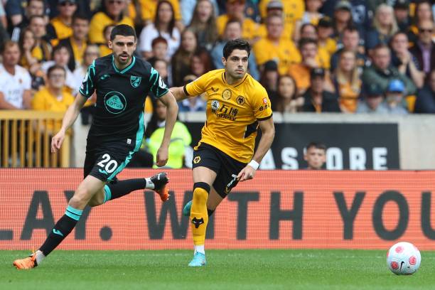 更多像奥利 更多像奥利